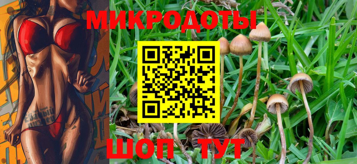 Галлюциногенные грибы Psilocybine cubensis  Галлюциногенные грибы мицелий  Касимов  Вход с VPN 