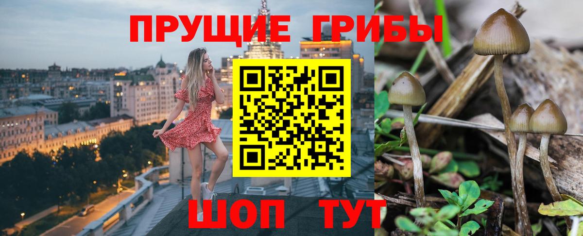 Псилоцибиновые грибы ЛСД Касимов